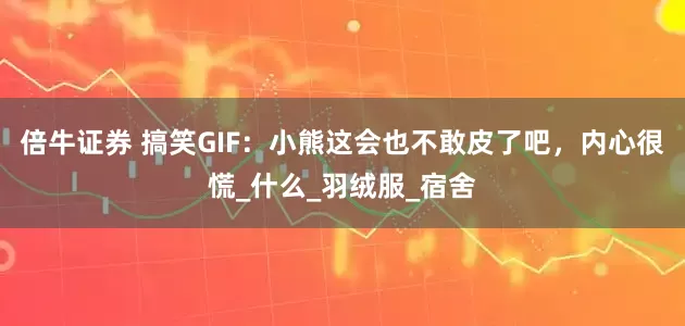 倍牛证券 搞笑GIF：小熊这会也不敢皮了吧，内心很慌_什么_羽绒服_宿舍