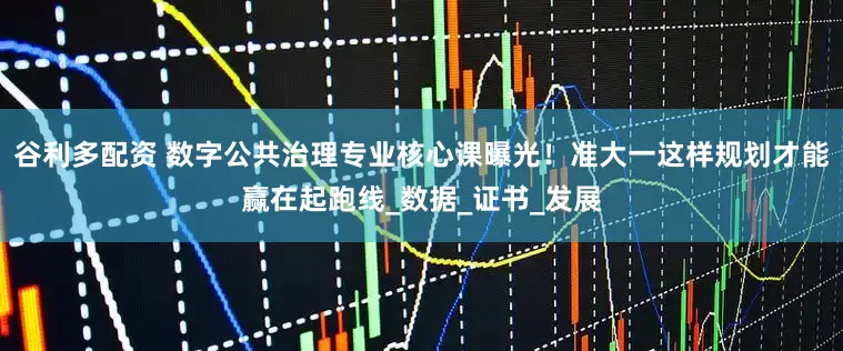 谷利多配资 数字公共治理专业核心课曝光！准大一这样规划才能赢在起跑线_数据_证书_发展