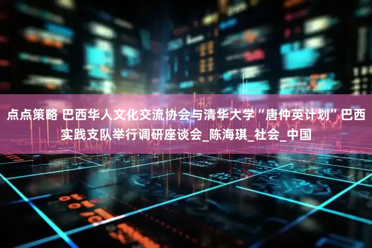 点点策略 巴西华人文化交流协会与清华大学“唐仲英计划”巴西实践支队举行调研座谈会_陈海琪_社会_中国